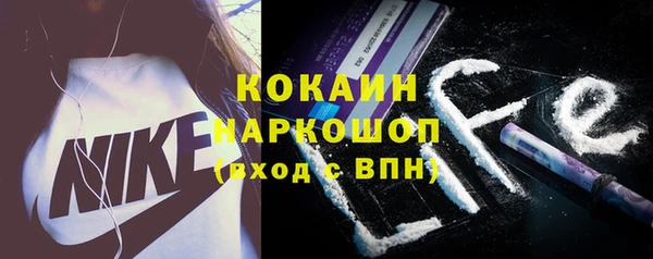 прущий лед Новозыбков