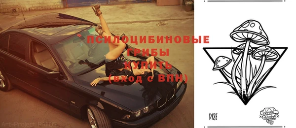 прущий лед Новозыбков