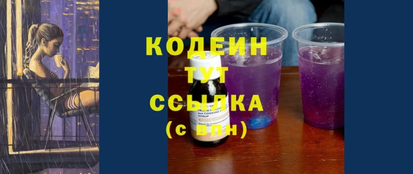 прущий лед Новозыбков