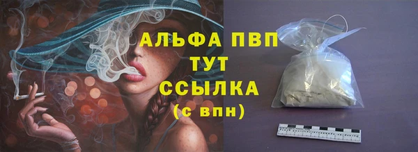 прущий лед Новозыбков