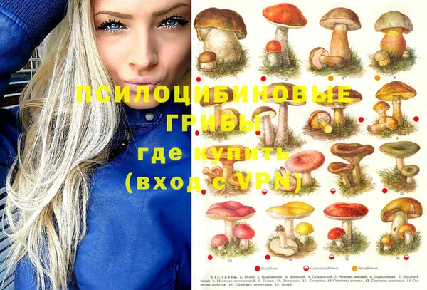героин Новодвинск