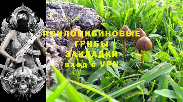 бошки Нея