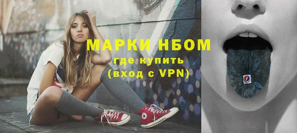прущий лед Новозыбков