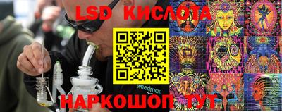 гашик Бузулук