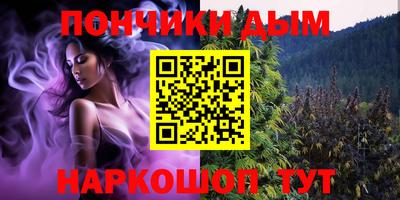шишки Гусиноозёрск
