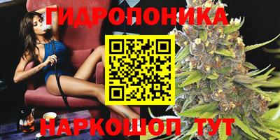 прущие крисы Гусев