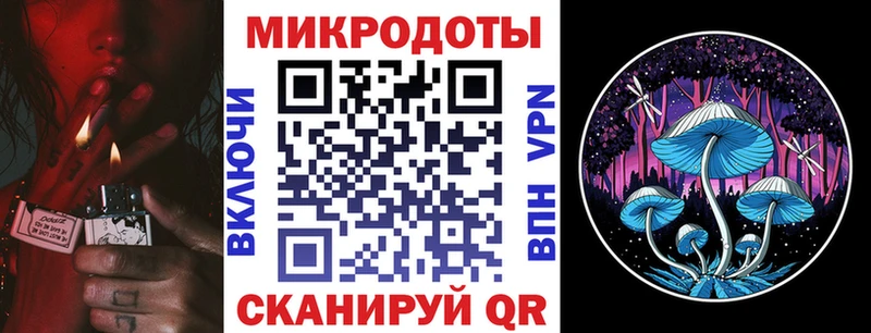 гидра tor  Курчалой  нарко площадка клад  где купить наркоту  Галлюциногенные грибы Magic Shrooms 