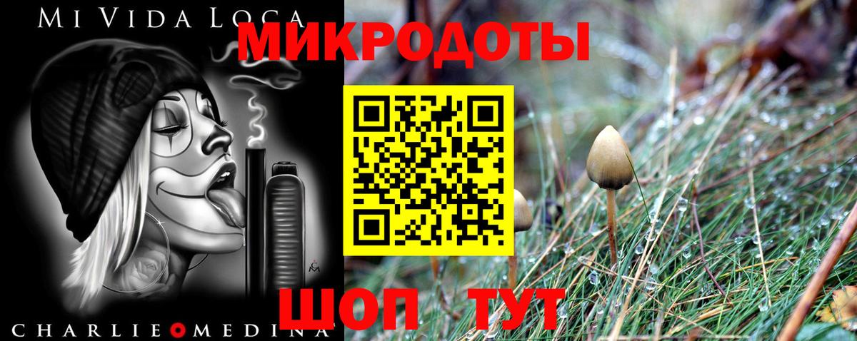 Галлюциногенные грибы мухоморы Курчалой