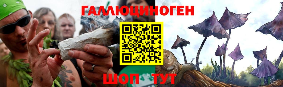 Галлюциногенные грибы мицелий  Галлюциногенные грибы прущие грибы  Курчалой  Вход с VPN 